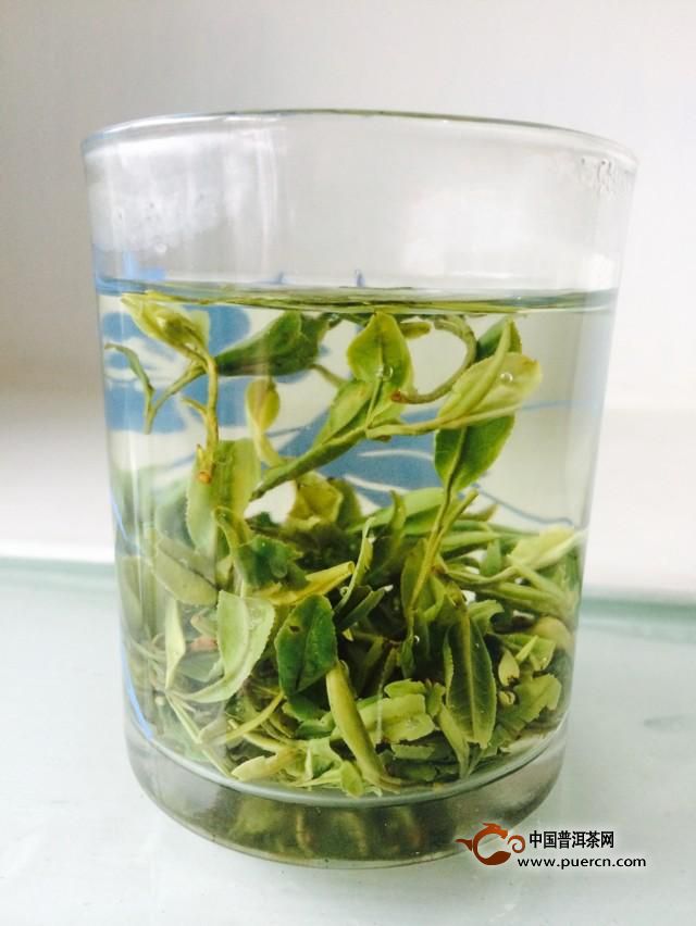 龙舞茶作用