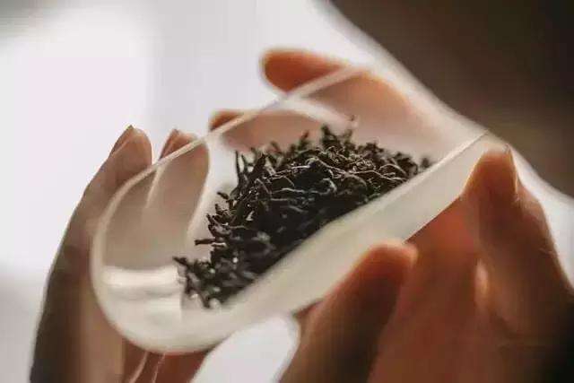 水仙茸勾茶的功效与禁忌事项