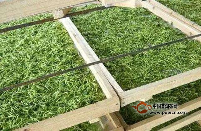 水仙茸勾茶是如何采制的