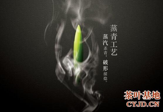 新林玉露是什么茶，新林玉露的品质特征