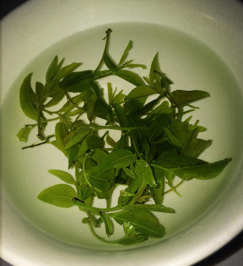 中岳仙茶的功效与禁忌事项