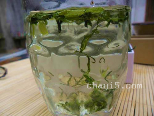 茶叶中岳仙茶的作用与禁忌