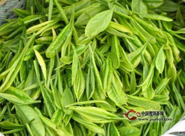 中岳仙茶的冲泡方法