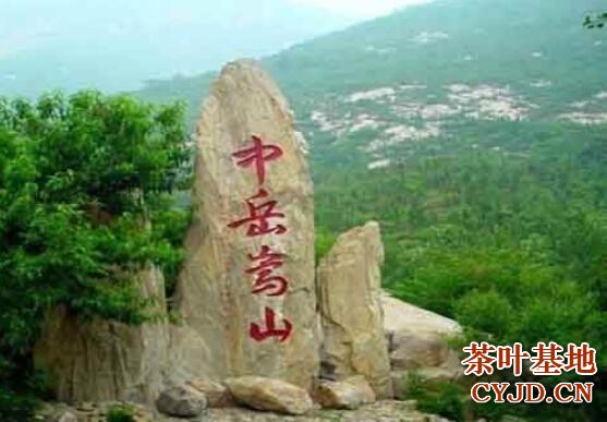 中岳仙茶是什么茶，中岳仙茶的品质特征
