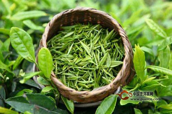 中岳仙茶的功效