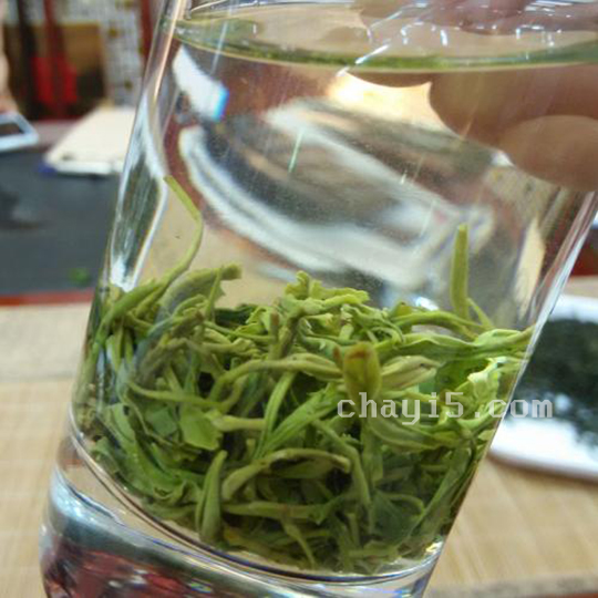茶叶紫阳毛尖的作用与禁忌