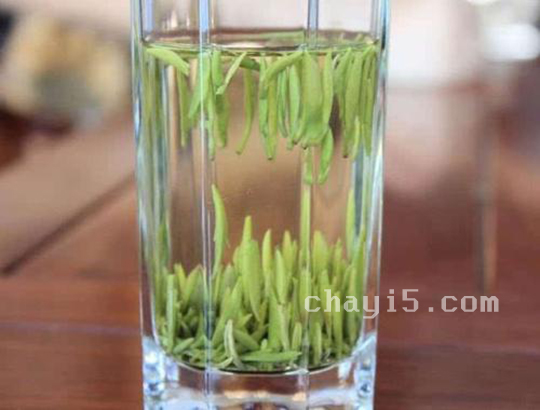茶叶紫阳毛尖的作用与禁忌