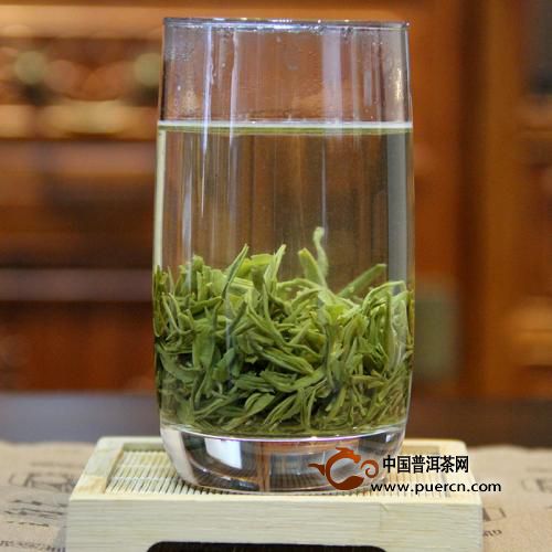 通天岩茶作用