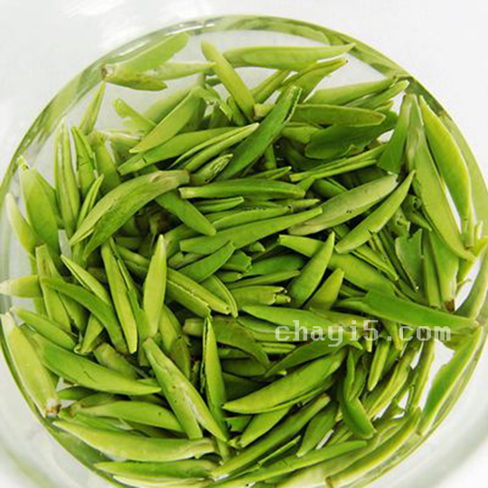 茶叶黎平雀舌茶的作用与禁忌