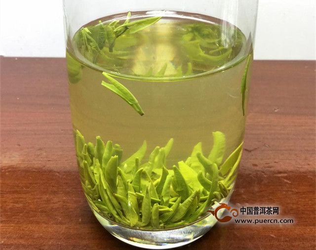黎平雀舌的泡法