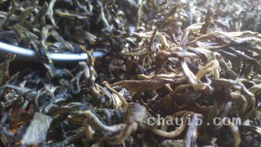 普龙茶的功效与作用 普龙茶的泡法