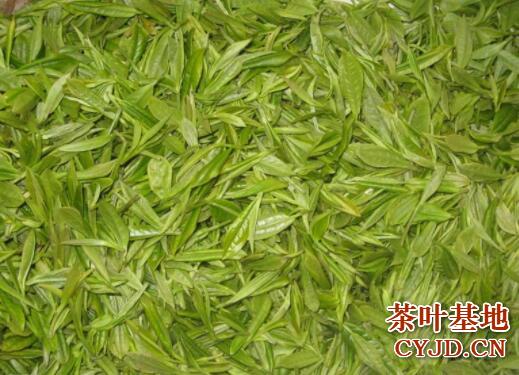 普龙茶是什么茶，普龙茶的品质特征