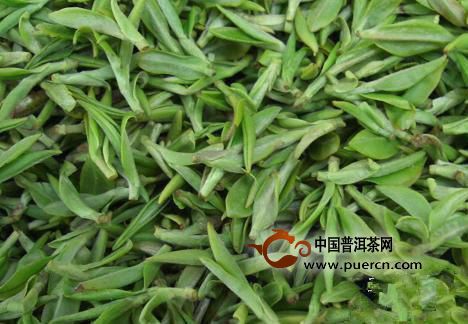 文君嫩绿采制工艺