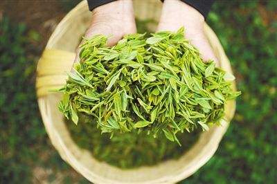 喝瀑布茶对身体有什么好处