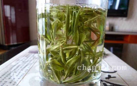 瀑布茶的功效与作用 瀑布茶什么时候喝最好