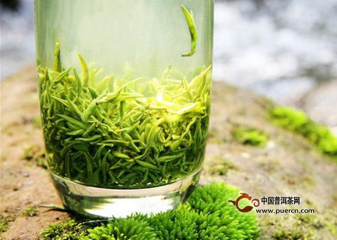 余姚瀑布茶是什么茶