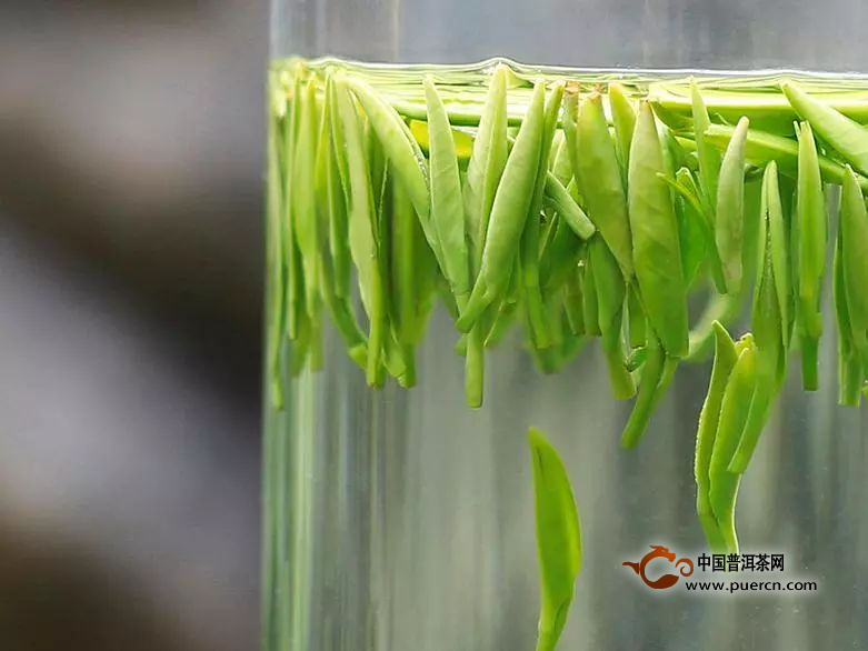 午子仙毫保健功效，午子仙毫适宜人群