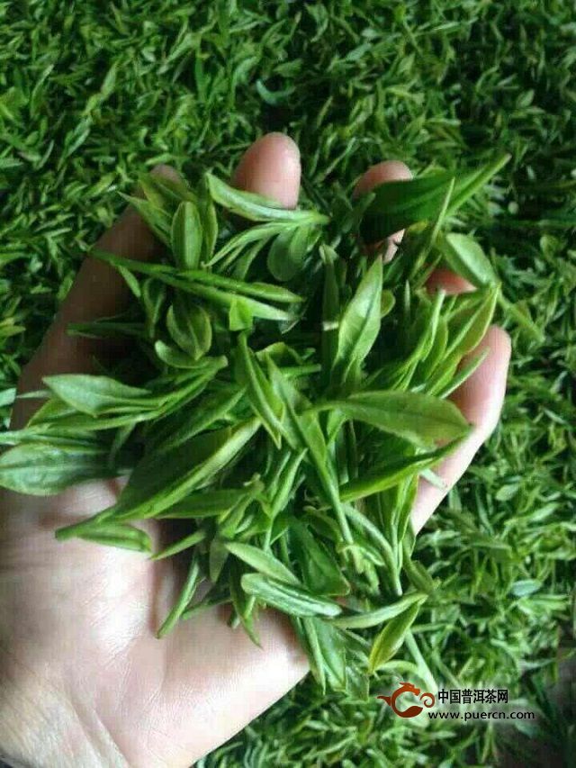 汀溪兰香茶