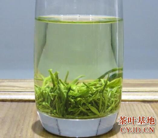 大悟寿眉属于什么茶，大悟寿眉茶的功效与作用