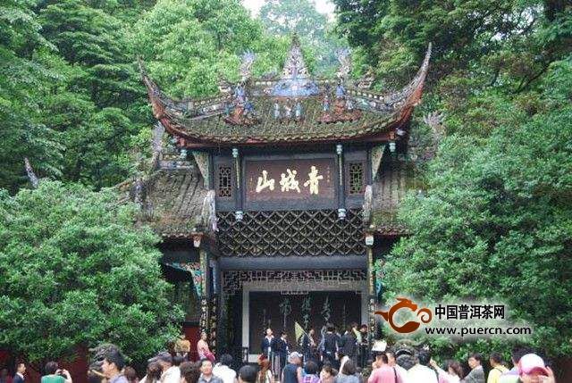 青城雪芽如何采摘以及制作