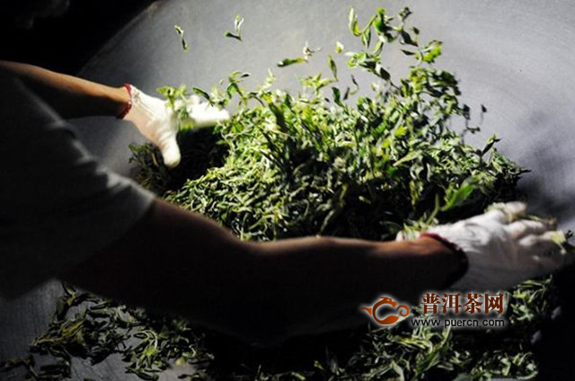 郴州碧云茶加工工艺