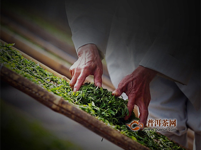 郴州碧云是什么茶