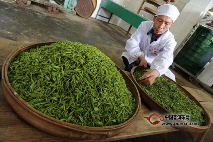 遂川狗牯脑茶的制作技艺