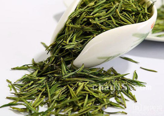 五盖山米茶的功效与作用 五盖山米茶的禁忌事项