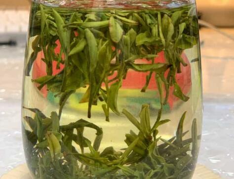 桐城小花怎么泡 桐城小花的正确泡法