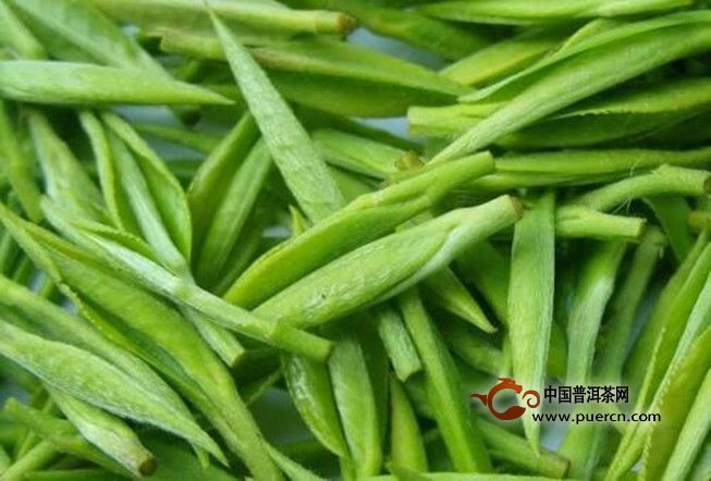 桐城小花茶怎么样