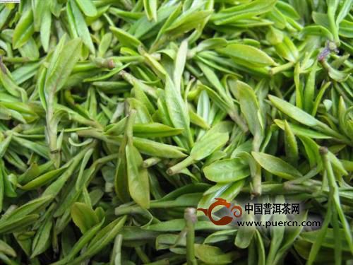 桐城小花茶是什么茶