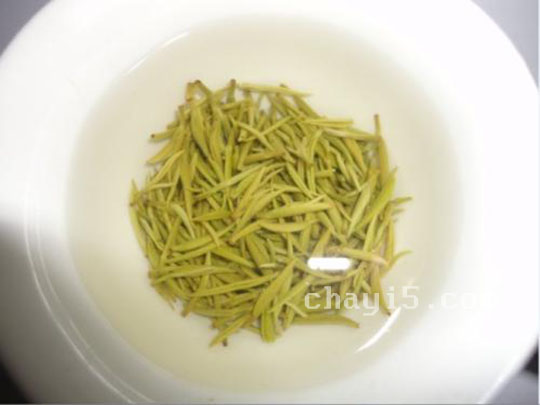 茶叶前峰雪莲的作用与禁忌