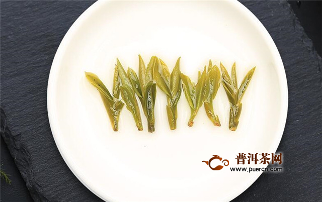 霍山黄芽茶的功效，有抵抗衰老等功效