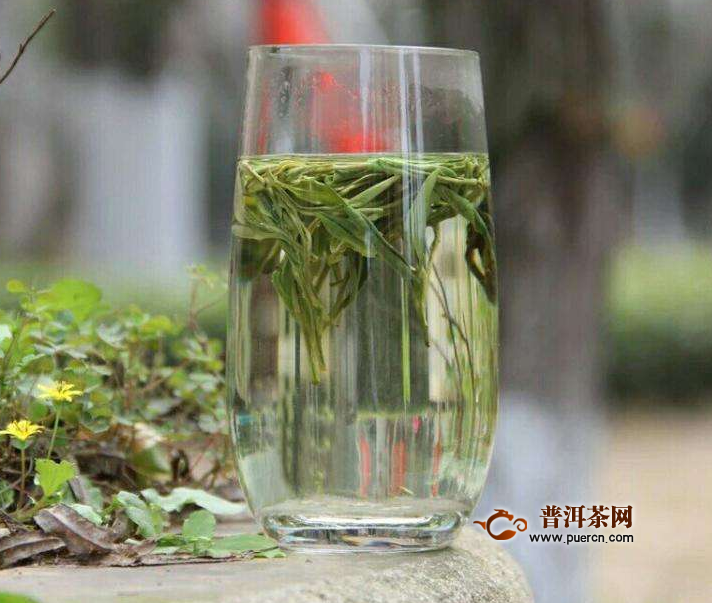 霍山黄芽新茶上市时间，采摘标准