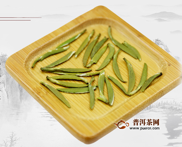 君山银针茶制作，采摘方法