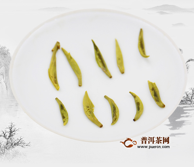 君山银针茶制作，采摘方法