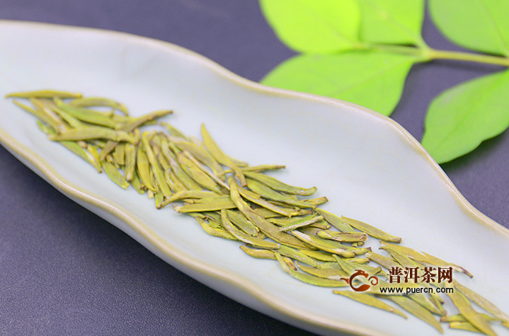 君山银针茶制作，采摘方法