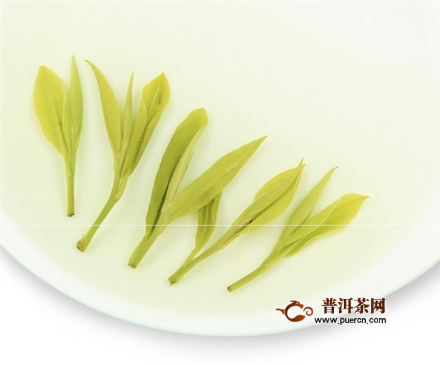 黄小茶的代表是北港毛尖、平阳黄汤等！