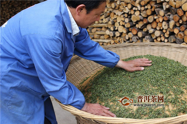 平阳黄汤的特点：“黄叶黄汤”、“浓而不涩，厚而甜醇”