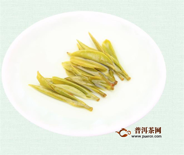 黄小茶有哪些？沩山毛尖、北港毛尖、远安鹿苑、平阳黄汤
