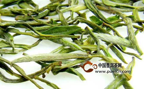广东大叶青茶的功效