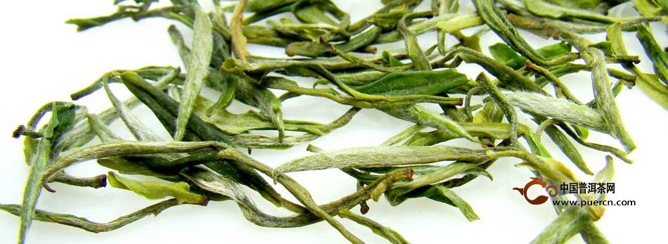 广东大叶青是青茶？还是黄茶？