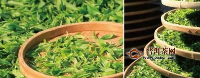 广东大叶青制作工艺