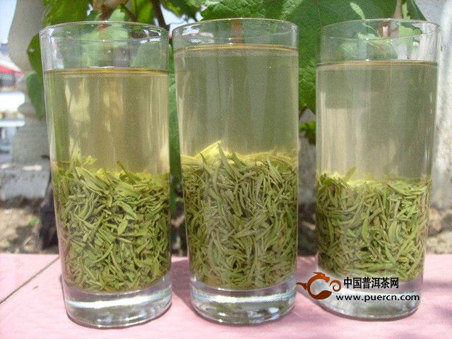 沩江白毛尖是什么样的茶