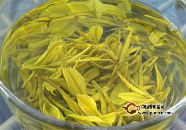 沩江白毛尖的特点