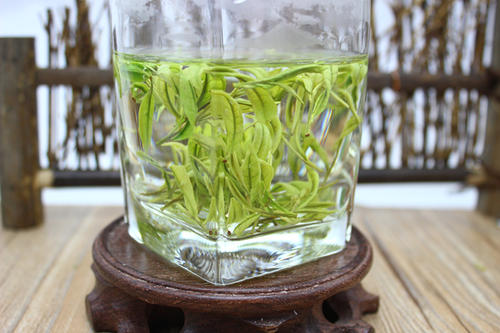 安吉白茶的冲泡方法
