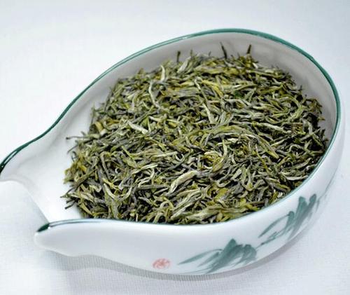 紫阳毛尖茶的功效与作用及禁忌