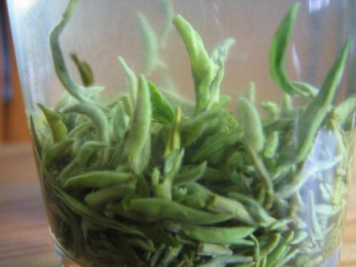 喝通天岩茶对身体有什么好处