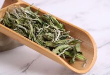 女人喝白牡丹茶的好处和坏处-茗扬网