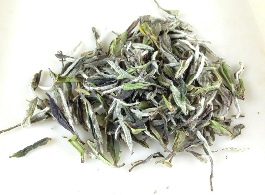 白牡丹的功效与作用